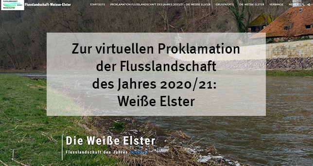 zurwebseiteweisseelster2_0.jpg